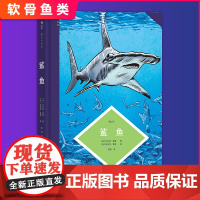 正版 图文小百科:鲨鱼(带你了解鲨鱼的进化过程、形态特征和生活习性)9787505755154