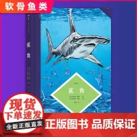 正版 图文小百科:鲨鱼(带你了解鲨鱼的进化过程、形态特征和生活习性)9787505755154