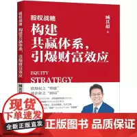 正版 股权战略:构建共赢体系,引爆财富效应 臧其超 著中国经济出版社股权激励股权合伙股权众筹股权融资书籍全新图书