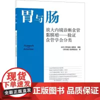胃与肠 放大内镜诊断食管黏膜癌-验证食管学会分类