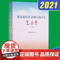 正版建设新时代文明实践中心怎么干(上下) 推动基层党组织新时代文明实践中心建设解决基层文明实践难点书籍学习出版社