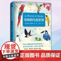 正版 奇妙的鸟类世界 9787535694997 湖南美术出版社