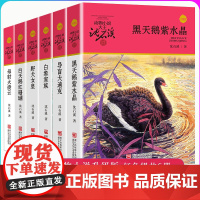 沈石溪动物小说升级版共6册沈石溪作品 野犬女皇/白象家族/导盲犬迪克/母豺火烧云/黑天鹅紫水晶/白天鹅红珊瑚 浙江少年儿