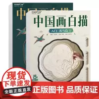 同步视频 中国画白描入门 新花鸟篇2本 工笔花鸟画入门 花卉禽鸟 局部分解完整作品 国画白描 勾线运笔 工笔白描自学教材