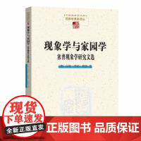 墨轩正版 现象学与家园学/中国现象学文库现象学原典译丛 [德]汉斯·莱纳·塞普 著 商务印书馆