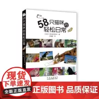 58只猫咪的轻松日常 摄影集 22位猫家长 58只猫咪的日常生活 DIY猫咪玩具 房间布局 其他国家的玩猫生活 爱猫人士