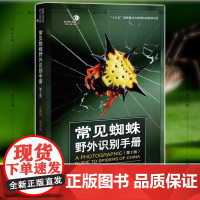 常见蜘蛛野外识别手册(第2版)好奇心书系 王露雨 张志升 著 重庆大学出版社