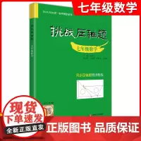 挑战压轴题 七年级数学 7年级数学 中考压轴题数学初中复习资料教辅初中同步系列同步压轴题精讲精练马学斌主编华东师范大学出