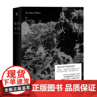 正版 体内火焰 陈思安 著 一頁folio出品 徐冰、西川、喻荣军、周嘉宁、朱岳、陈楸帆 阅读小说当代世界出版社 包