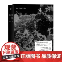 正版 体内火焰 陈思安 著 一頁folio出品 徐冰、西川、喻荣军、周嘉宁、朱岳、陈楸帆 阅读小说当代世界出版社 包