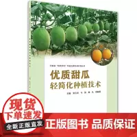 优质甜瓜轻简化种植技术