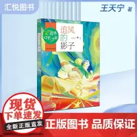 正版 天宁哥哥成长小宇宙 追风的影子 王天宁著 冰心儿童文学奖获得者 山东大学出版社fb