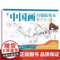 中国画白描临摹本 花草鱼虫 国画浅印描摹本 工笔画白描初学者入门 精装版 临摹画本 线描画集工笔画底稿零基础画画自学书