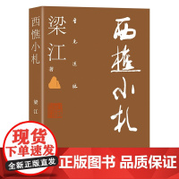 正版 至元述林:西樵小札 梁江 著 联合天畅 中国书画及文化界的种种亲历和见闻集 学者书画艺术家及评论家艺术国学爱好