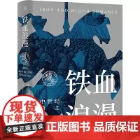 正版 铁血浪漫:中世纪骑士(精装珍藏版)倪世光 著北京大学出版社未名·轻松阅读外国史丛书 揭开中世纪骑士生活的方方
