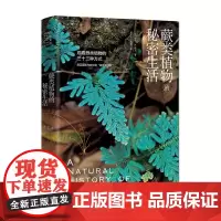 正版图书 蕨类植物的秘密生活 自然文库 [美]罗宾·C.莫兰 著 武玉东 蒋蕾 译 商务印书馆