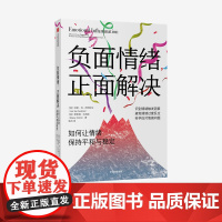 负面情绪 正面解决 如何让情绪保持平和与稳定 利斯 范 萨斯特伦 等著 出版人周刊 识别情绪触发因素 中信出版社 正版