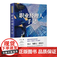 职业经理人手记(“中国蕞具爆发力的金融作家”丁力经典商战小说!亲身经历,干货满满)