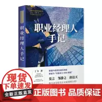 职业经理人手记(“中国蕞具爆发力的金融作家”丁力经典商战小说!亲身经历,干货满满)