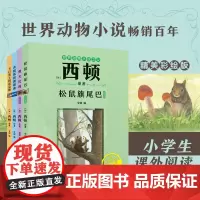 西顿动物小说松鼠旗尾巴勇犬比利美绘注音版北极狐的圆舞曲飞行勇士阿诺克斯经典动物文学适合中小学生阅读安徽少年儿童出版社fb