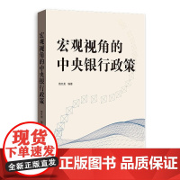 正版 宏观视角的中央银行政策 苗文龙 著GK 格致出版社