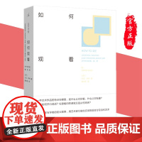 正版 如何观看:关于艺术的看、说、思 大卫·萨利 著 理想国图书 艺术理论 艺术研究 艺术家谈艺术家 全新书籍