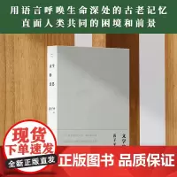 正版 文学的意思 学者黄子平代表作,带你走进二十世纪中国文学的殿堂 9787201181769