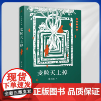 正版 中国短经典:麦粒天上掉(茅盾文学奖得主周大新短篇小说代表作)9787020173396