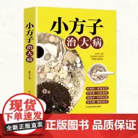 小方子治大病 正版中医书籍养生偏方大全 民间老偏方美容养颜常见病防治 保健食疗偏方秘方大全小偏方老偏方中医健康养生保健疗