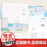 正版 新民说·大概小说 小安 著 广西师范大学出版社 一小镇,卷叠四个女人的零落日常 中国当代小说