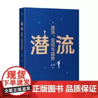 正版 潜流:激荡、变局与趋势 吴晨著 中译出版社