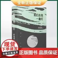正版 我们去找一盏灯(叶兆言短篇小说编年,十年磨一剑。作家余华苏童称赞其故事叙述才华)9787020172177