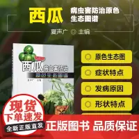 西瓜病虫害防治原色生态图谱 西瓜病虫害诊治原色图鉴 无公害蔬菜栽培技术育苗育种大棚种西瓜甜瓜栽培关键技术 中国农业出版社