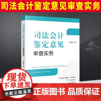2022新 司法会计鉴定意见审查实务 章宣静 司法会计业务审查方法 典型案例 技术性证据审查指引 法律出版社9787