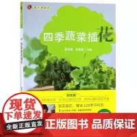 正版书籍 四季蔬菜插花 厨花君园艺 张旭明 编 居室设计 心理健康生活 生活休闲 都市手工艺书籍 家庭园艺生活 园艺和