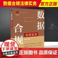 2022新 数据合规法律实务 吴卫明 锦天城法律实务丛书 企业数据合规指引 合规监管指南 合规体系合规方法 法律出版社9
