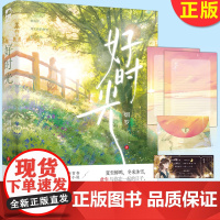 正版 好时光 破镜重圆 青春悬爱小说 《星星上的花》作者烟罗蛰伏三年 重磅之作 9787559470935