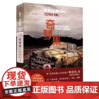 奇梦集 斯蒂芬·金作品系列[ 正版]美斯蒂芬·金 人民文学出版社 外国文学-各国文学9787020150175上海九久