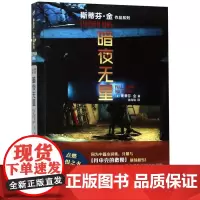 暗夜星 斯蒂芬·金作品系列 正版民文学出版社 外国文学-各国文学9787020148226上海九久