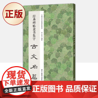 正版 经典碑帖隶书集字古文名篇/中国历代经典碑帖集字 9787534096310