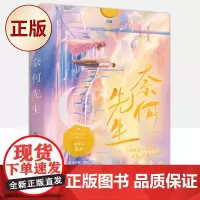 正版 奈何先生 9787541163838