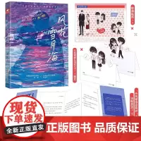正版 风花雪月海 言情天后是今高口碑高甜悬疑力作 冷傲腹黑科技新贵温暖治愈 青春文学言情小说