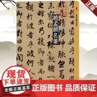 现货正版 名笔 赵孟頫名笔 上海辞书出版社 9787532655588