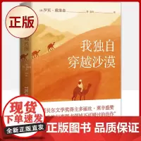 正版 我独自穿越沙漠(埋头十五年,王朔携《起初·纪年》王者归来!)9787541162770