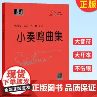 正版 小奏鸣曲集(十年经验积淀,历经市场考验。)9787544491051
