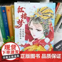 红楼梦 古风线稿涂色临摹本 32幅古风美人线稿 大八开 成人涂色本 描红 漫画人物描摹本 动漫美少女临摹素材 哒哒猫 美
