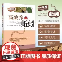 正版书籍 高效养蚯蚓 潘红平 蚯蚓养殖技术书籍 饲养管理 养殖场的建造 养蚯蚓的书 病敌虫害防治 地龙 科学饲养教程 一