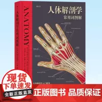 正版 人体解剖学常用词图解 实用人体解剖学入门指导 解剖学术语释义词典图解涂色练习医学书籍 97875189890