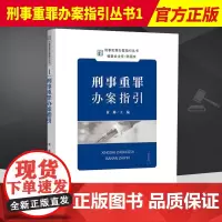 2022新 刑事重罪办案指引 黄琳 刑事犯罪办案指引丛书1 刑事办案操作指南办案参考 刑事检察实务教程 中国检察出版社9