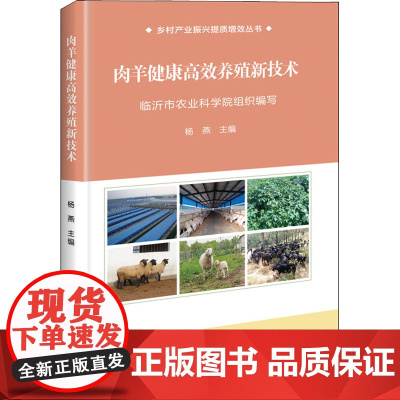 正版书籍 肉羊健康养殖新技术 动物养殖饲养技术方法基础教程图书 肉羊绵羊经营管理 养羊疾病防治养羊饲料生产技术 养羊书籍